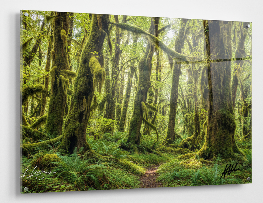 Acrylic Facemount Example